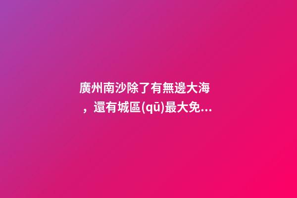 廣州南沙除了有無邊大海，還有城區(qū)最大免費(fèi)森林公園，名字拗口